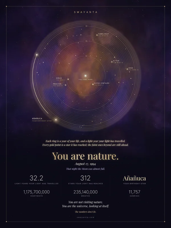 A Swayanta poster: a map of someone's light, with a ring for every year of their life and the stars their light has reached.
